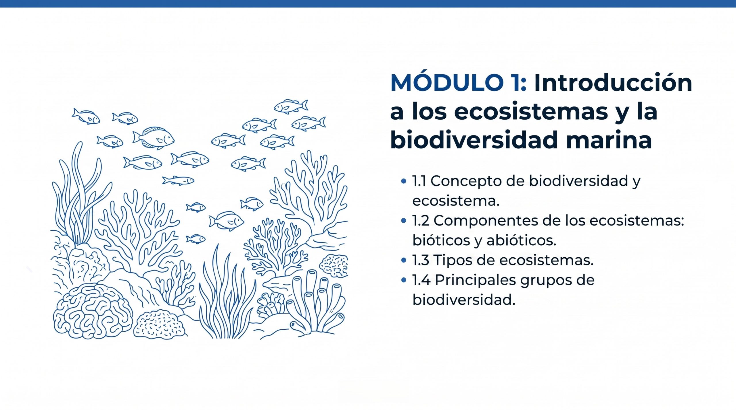 Curso en línea Explorando Biología Marina en Línea (40 horas) 6 Modulo-1-explorando-biología-marina