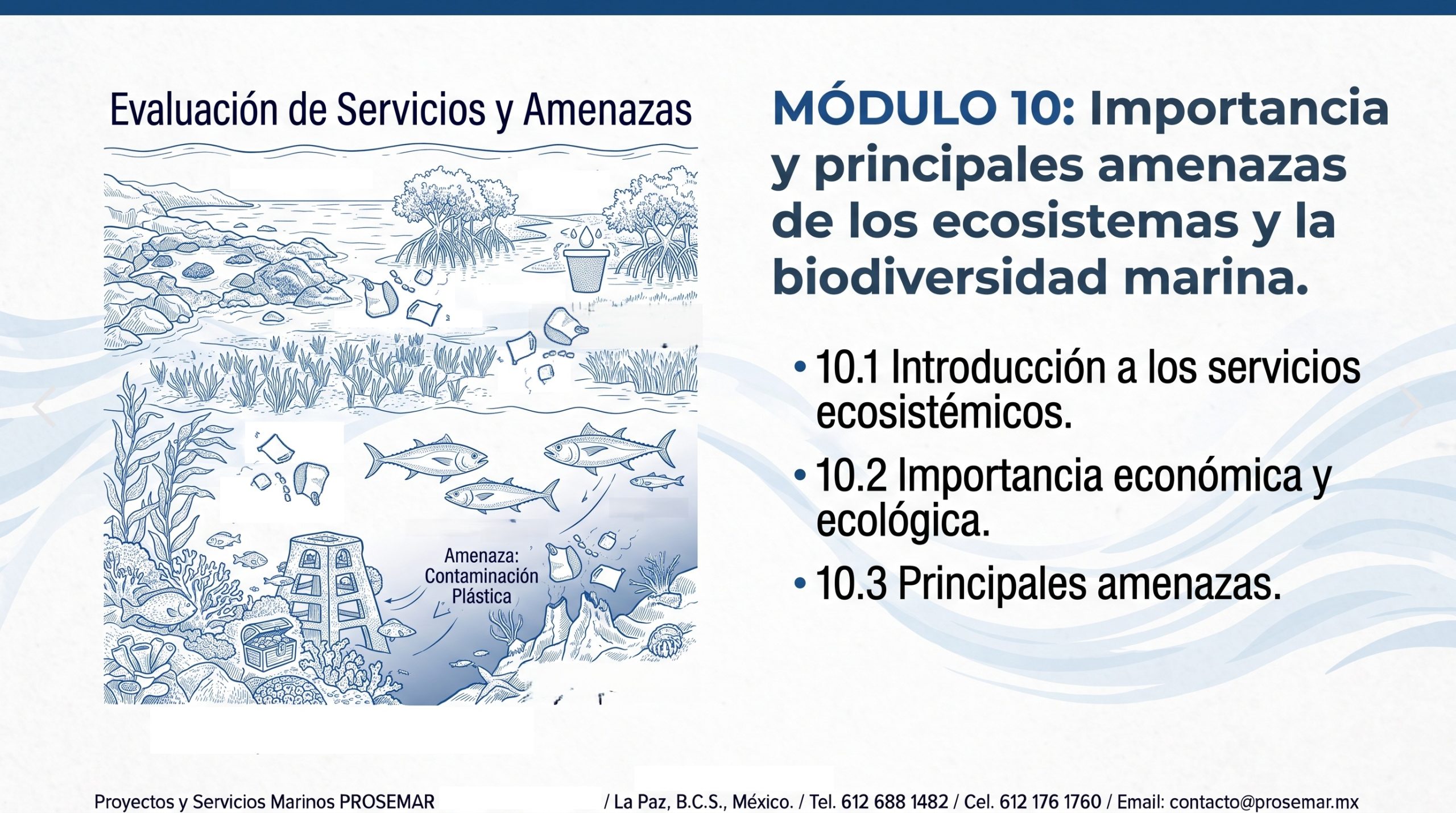 Curso en línea Explorando Biología Marina en Línea (40 horas) 15 Modulo-10-explorando-biología-marina