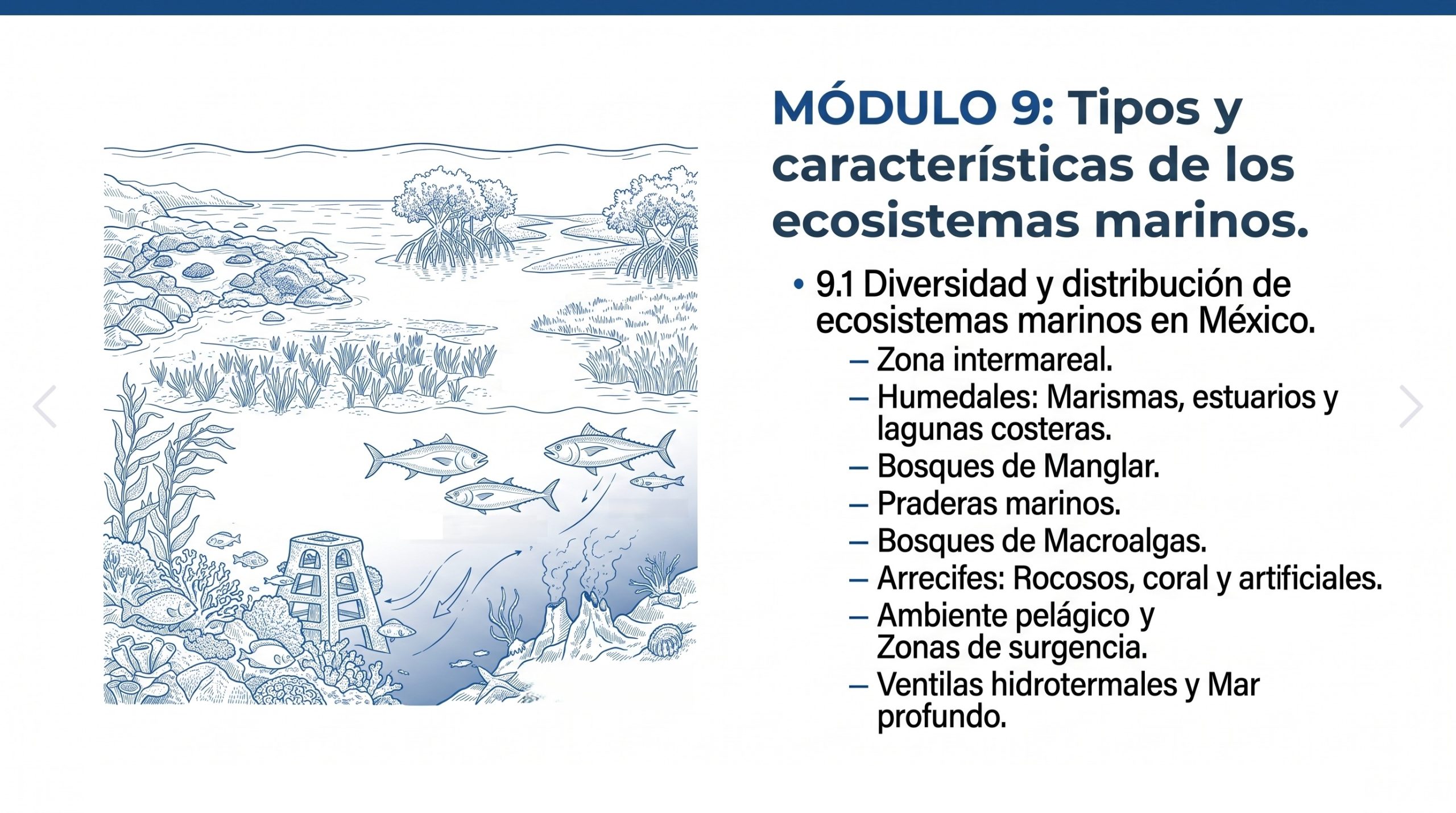 Curso en línea Explorando Biología Marina en Línea (40 horas) 14 Modulo-9-explorando-biología-marina