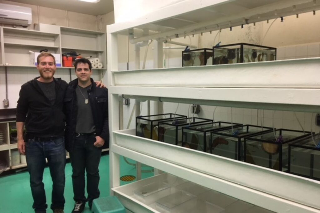 prosemar-cabeceros-horizontales-(15)