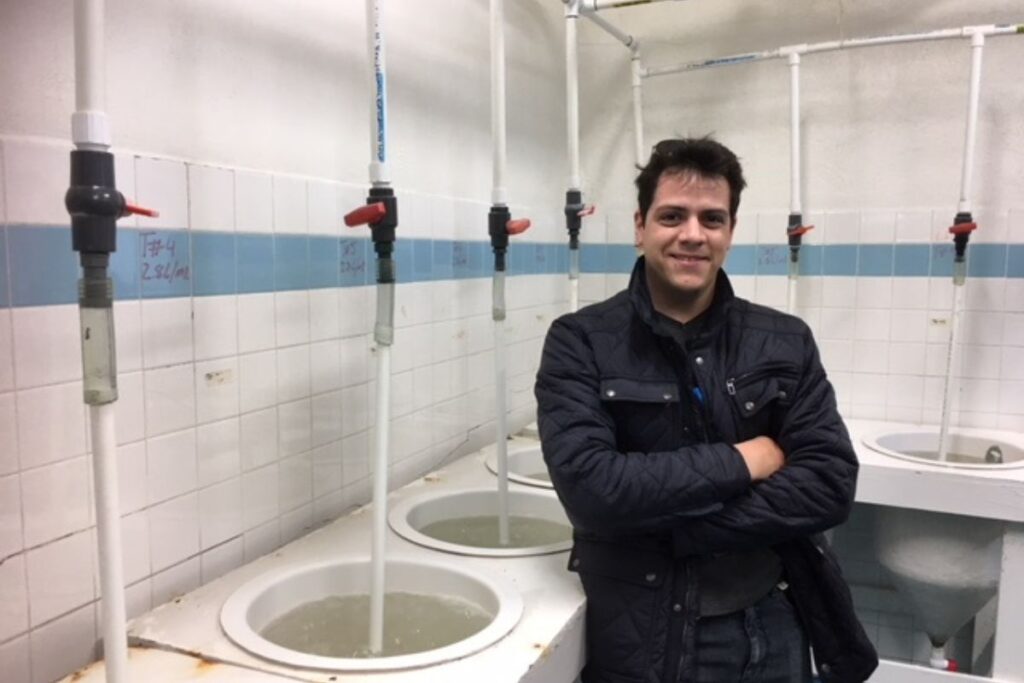 prosemar-cabeceros-horizontales-(16)