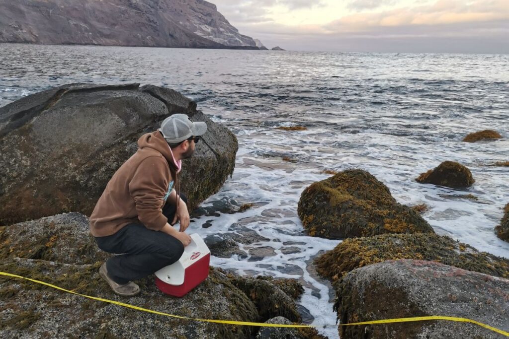 prosemar-cabeceros-horizontales-(21)