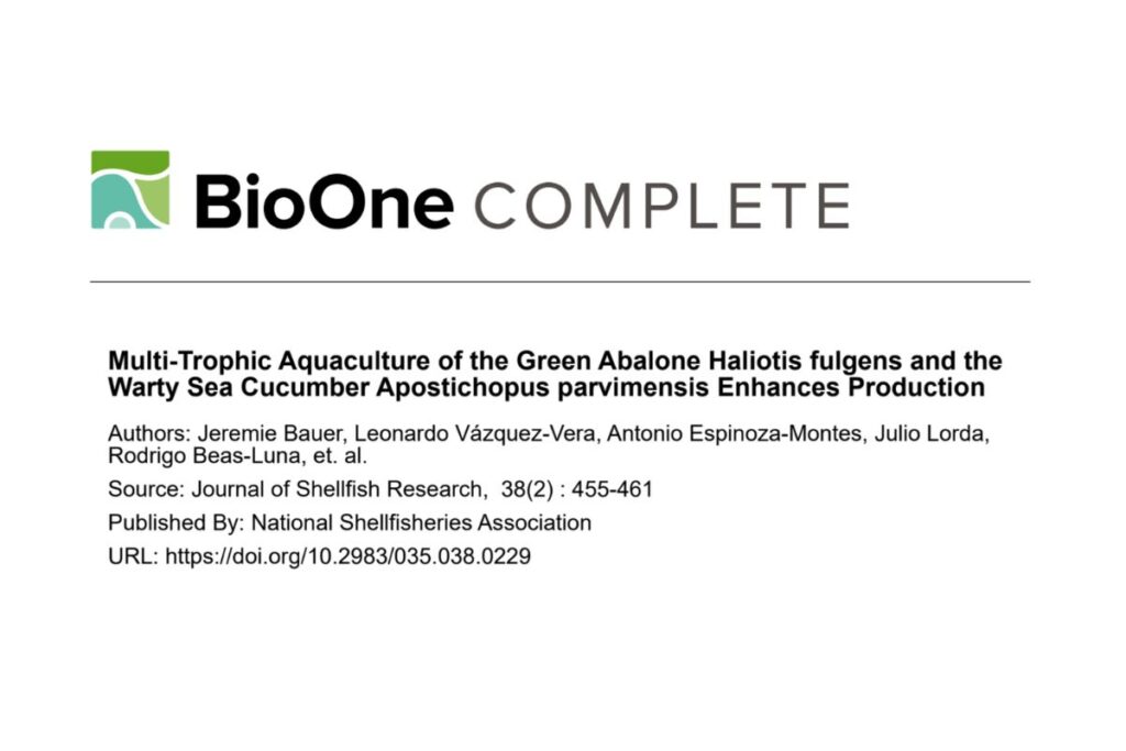 prosemar-cabeceros-horizontales-(27)