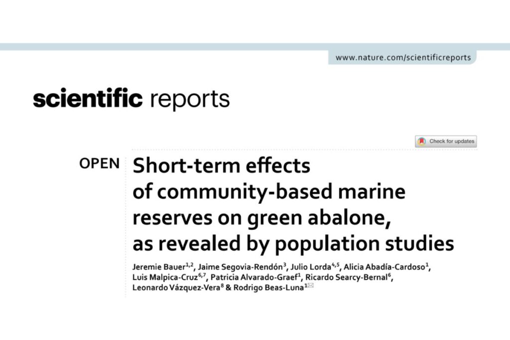 prosemar-cabeceros-horizontales-(32)