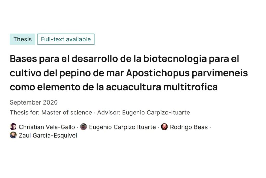 prosemar-cabeceros-horizontales-(33)