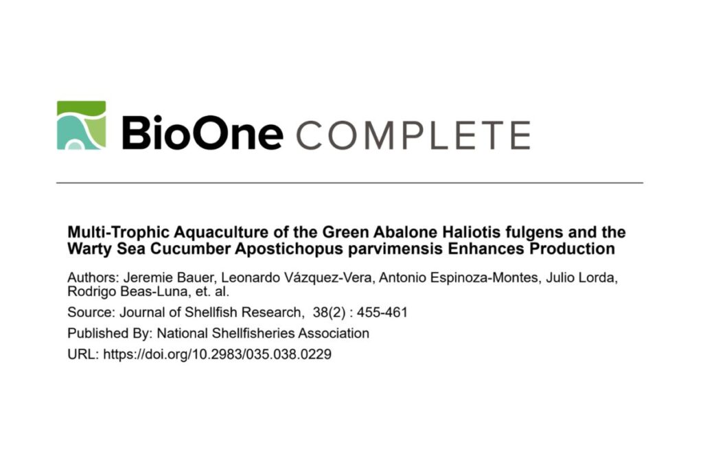 prosemar-cabeceros-horizontales-(34)