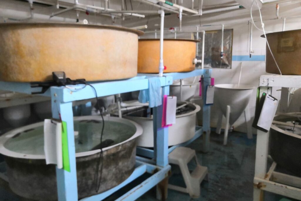 prosemar-proyecto-10-(4)