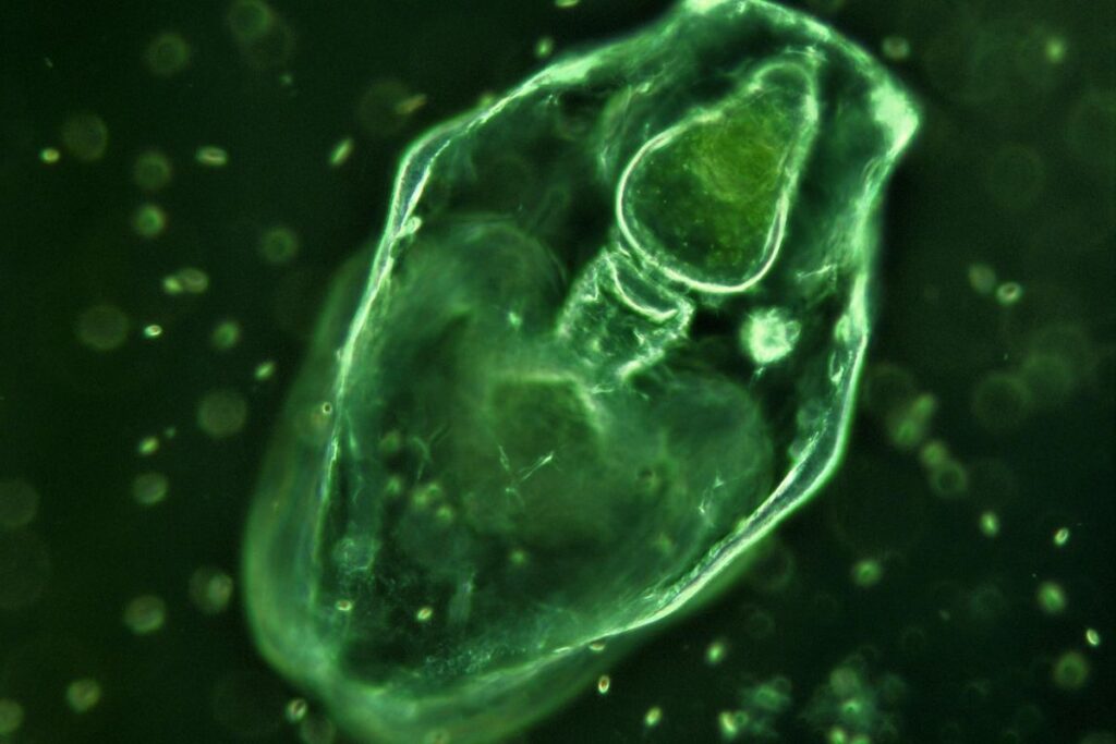 prosemar-proyecto-2-(4)