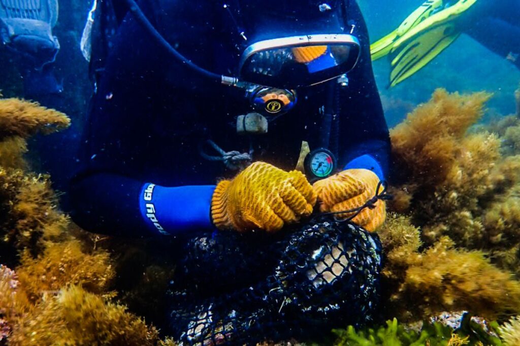 prosemar-proyecto-3-(1)