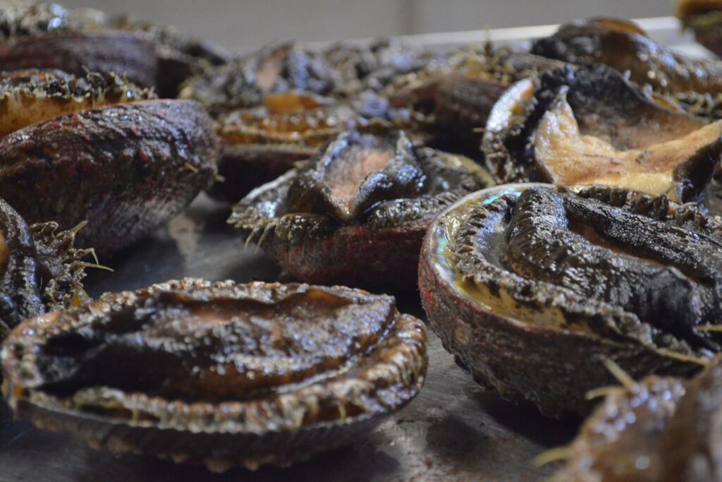 prosemar-proyecto-3-(2)