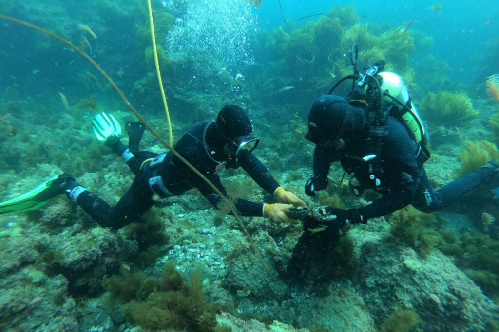 prosemar-proyecto-3-(4)