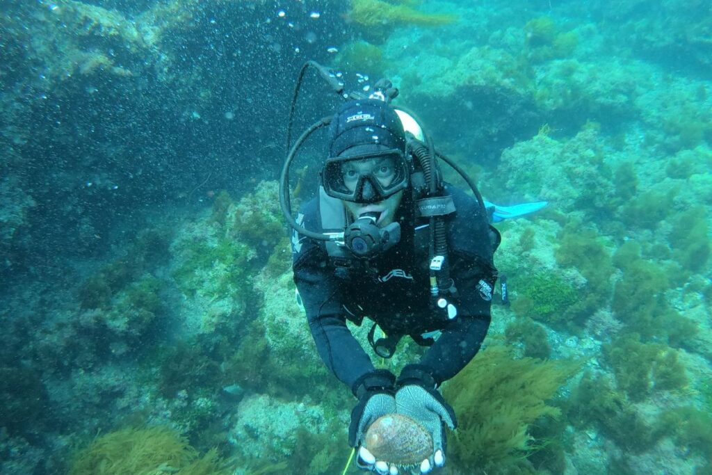 prosemar-proyecto-5-(1)