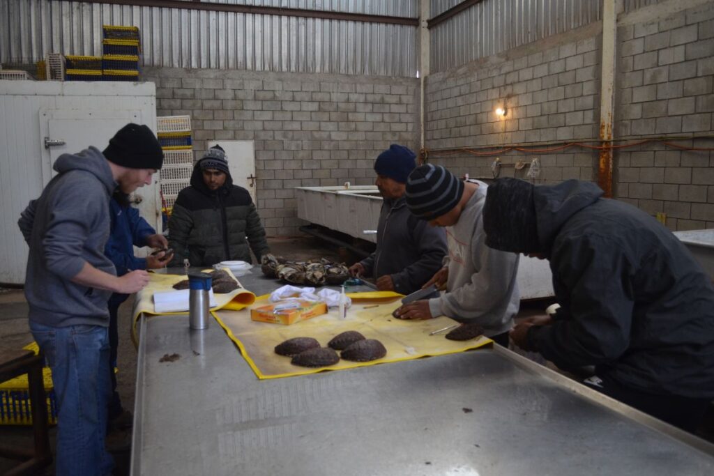 prosemar-proyecto-5-(2)