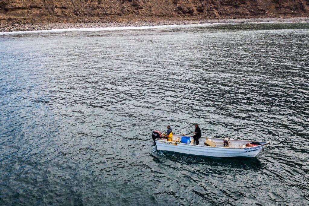 prosemar-proyecto-5-(4)