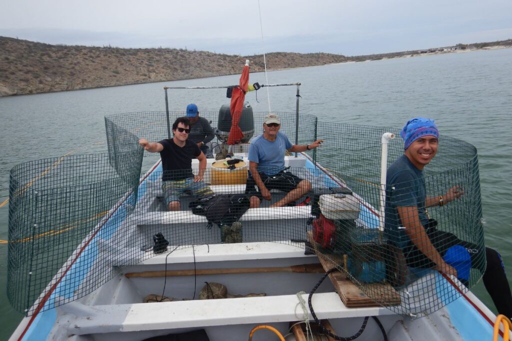 prosemar-proyecto-6-(1)