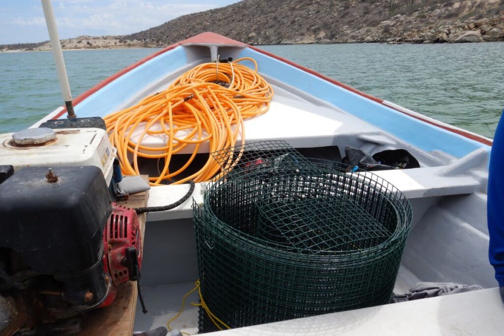 prosemar-proyecto-6-(2)