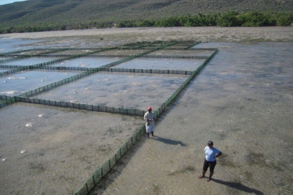 prosemar-proyecto-6-(3)