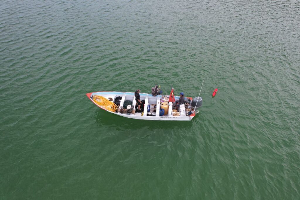 prosemar-proyecto-6-(4)