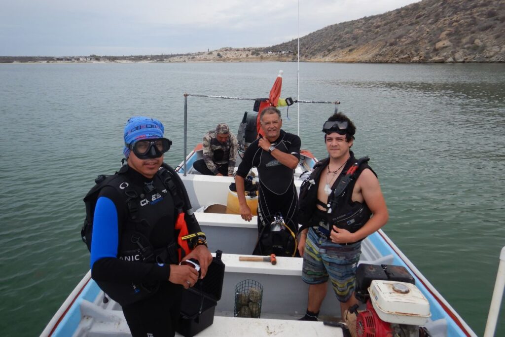 prosemar-proyecto-7-(1)