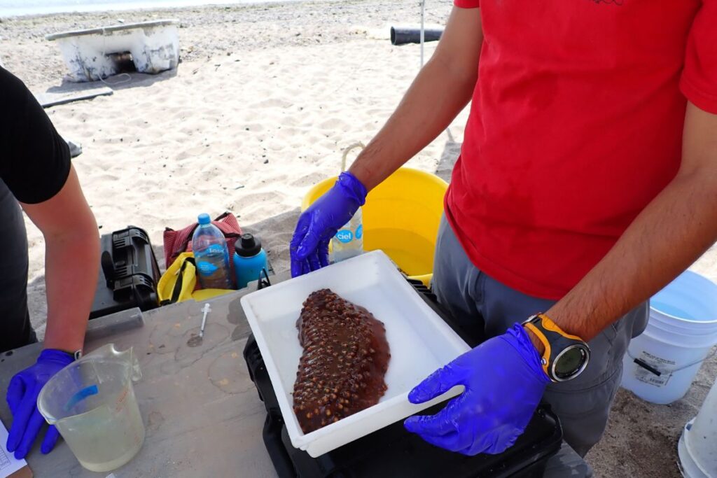 prosemar-proyecto-7-(3)