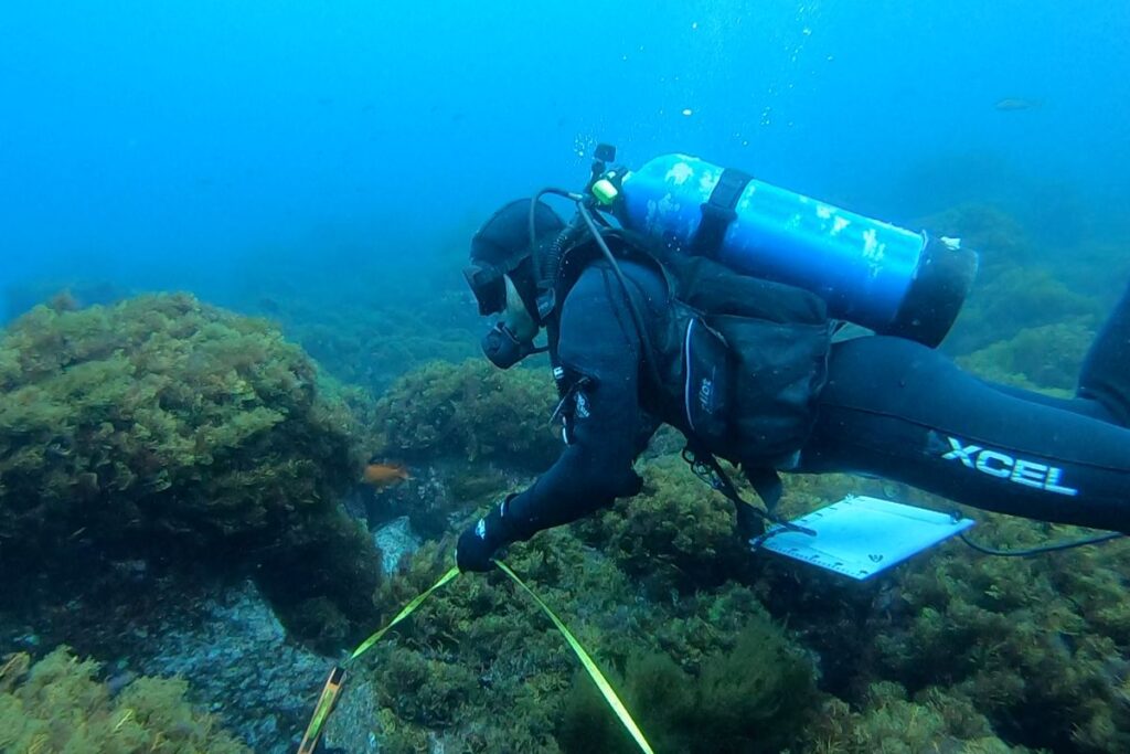 prosemar-proyecto-7-(4)