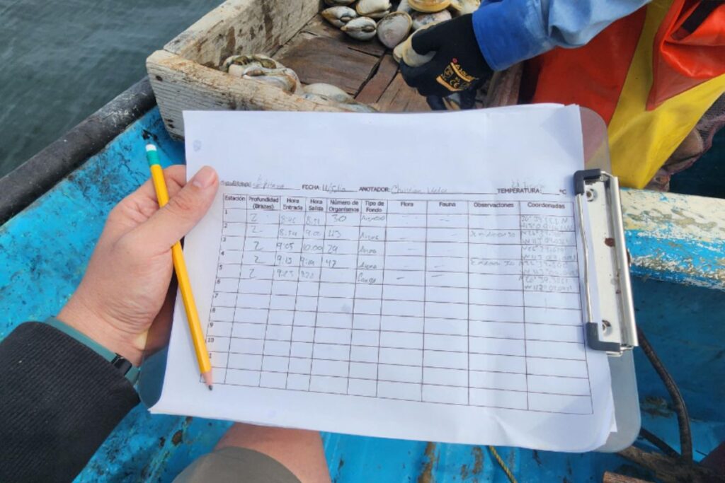 prosemar-proyecto-8-(1)