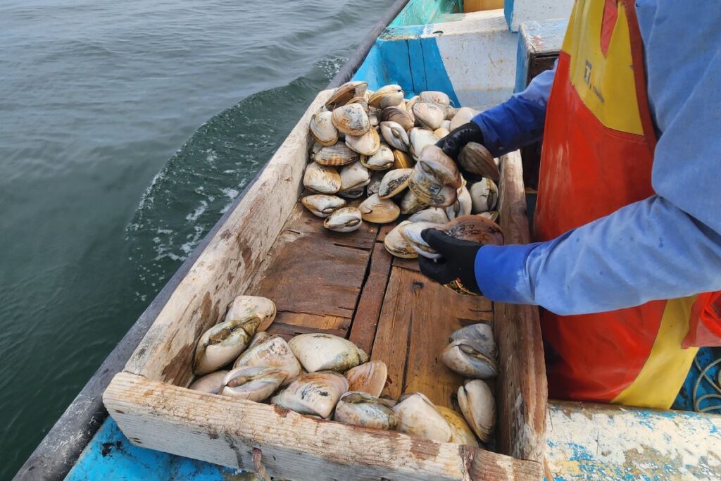 prosemar-proyecto-8-(3)