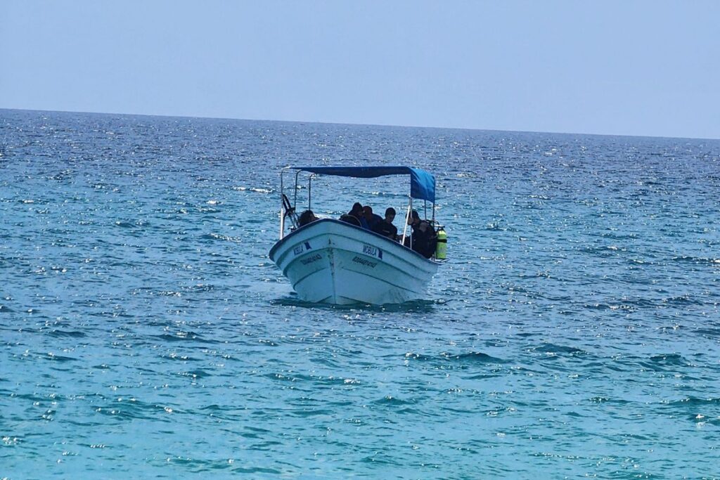 prosemar-proyecto-8-(4)