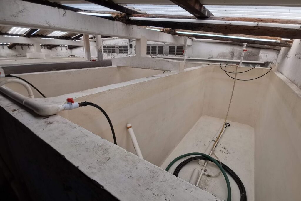 prosemar-proyecto-9-(2)