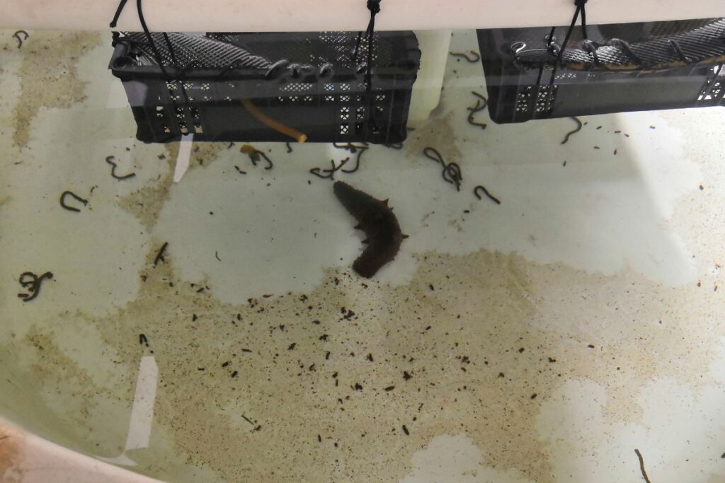 prosemar-proyecto-9-(4)