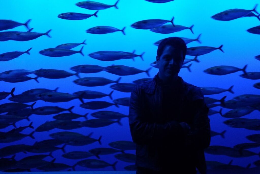 prosemar-proyectos-1-(1)