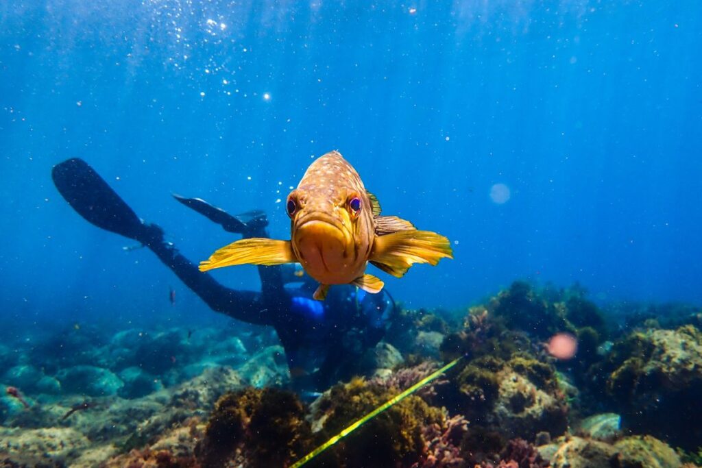 prosemar-proyectos-(1)