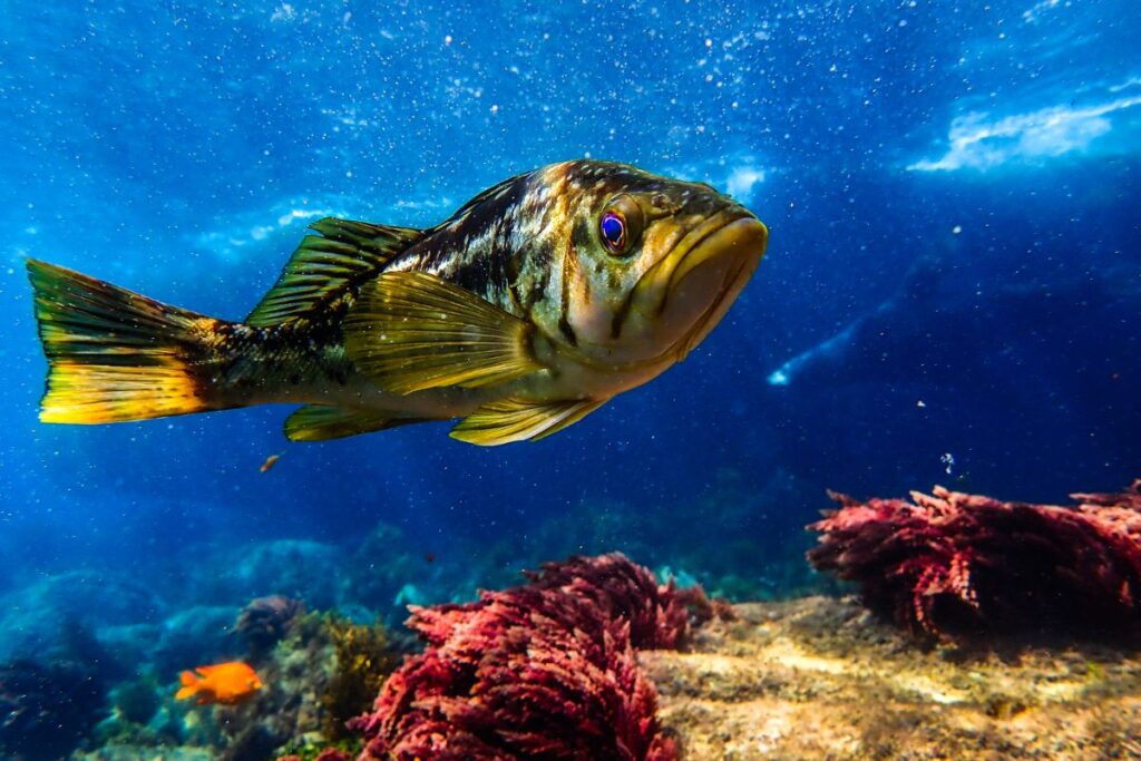 prosemar-proyectos-1-(4)