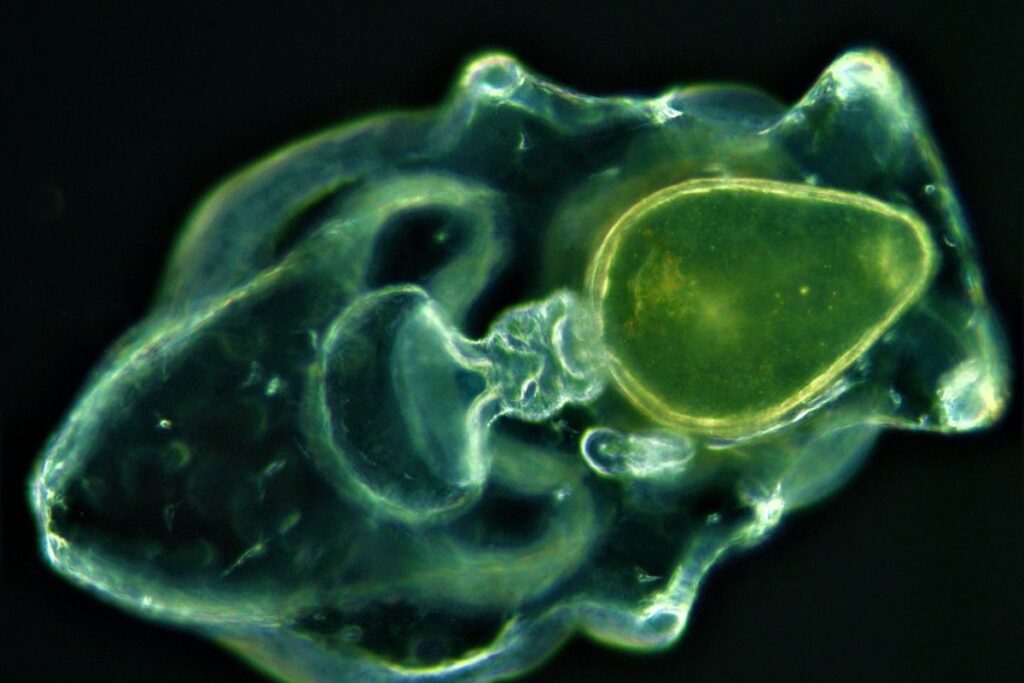 prosemar-proyectos-(10)