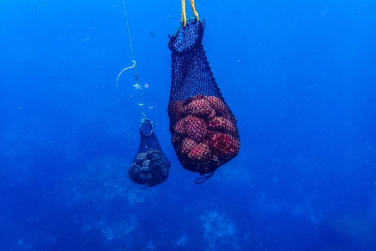 prosemar-proyectos-(4)