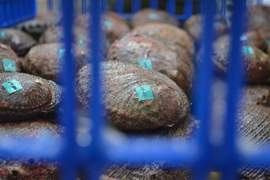 prosemar-proyectos-(5)