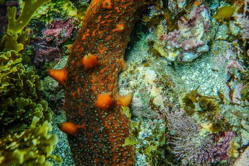 prosemar-proyectos-(7)