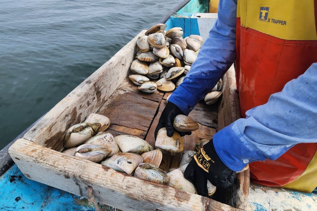 prosemar-proyectos-(8)