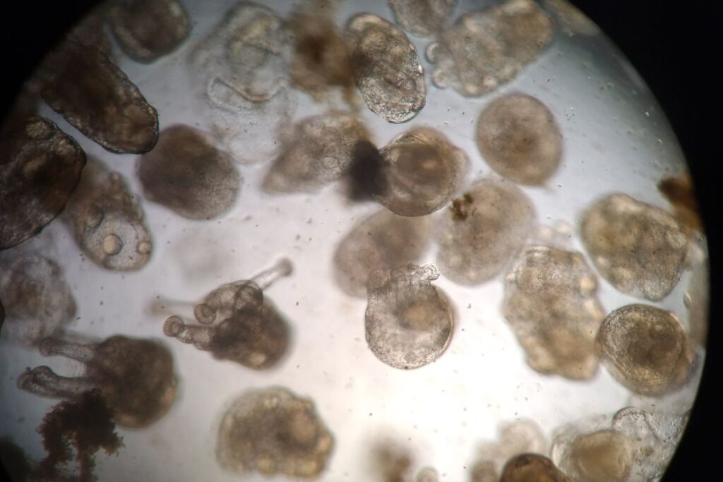 prosemar-proyectos-(9)