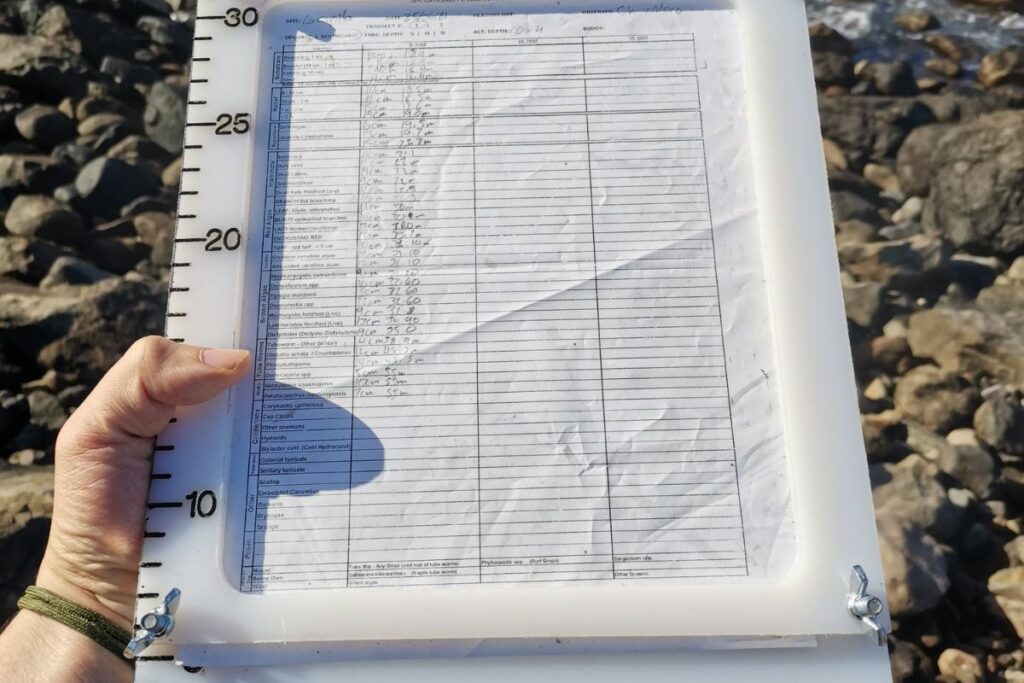 prosemar-servicios-acuicultura-(1)