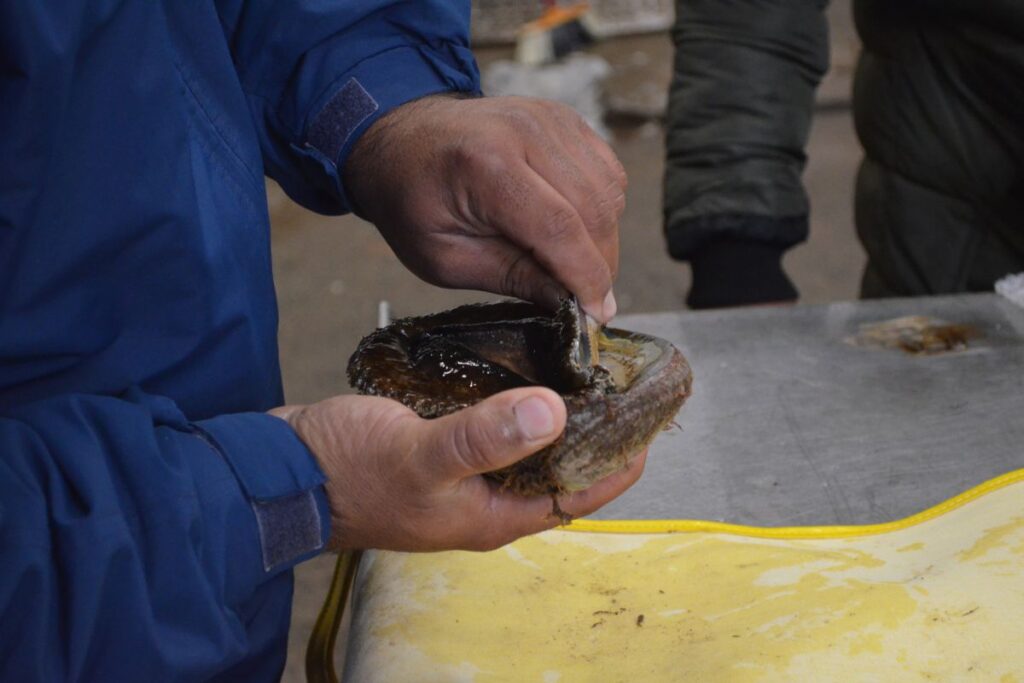 prosemar-servicios-acuicultura-(2)