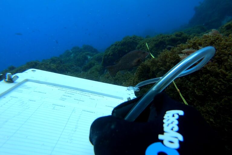 prosemar-servicios-pesquero-(1)