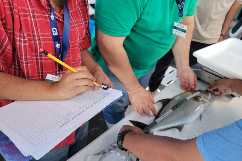 prosemar-servicios-pesquero-(2)