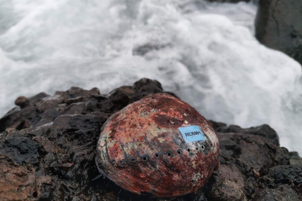 prosemar-servicios-pesquero-(3)