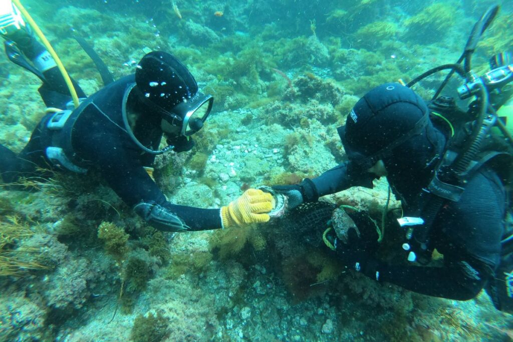 prosemar-servicios-pesquero-(5)