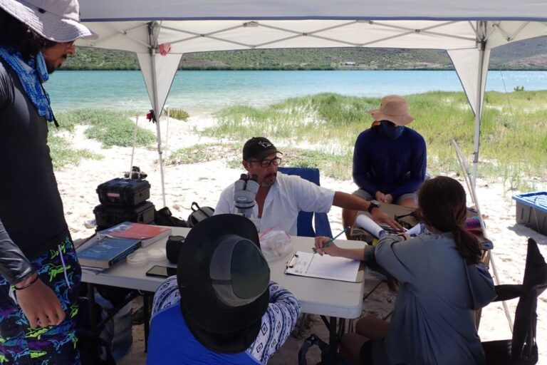 prosemar-servicios-pesquero-(6)