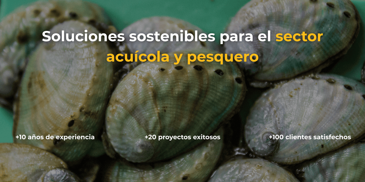 prosemar cabecero corto 3