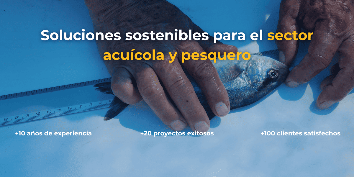 prosemar cabecero corto 4