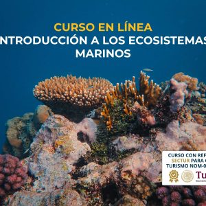 Curso en línea de Introducción a los Ecosistemas Marinos de México (SECTUR)