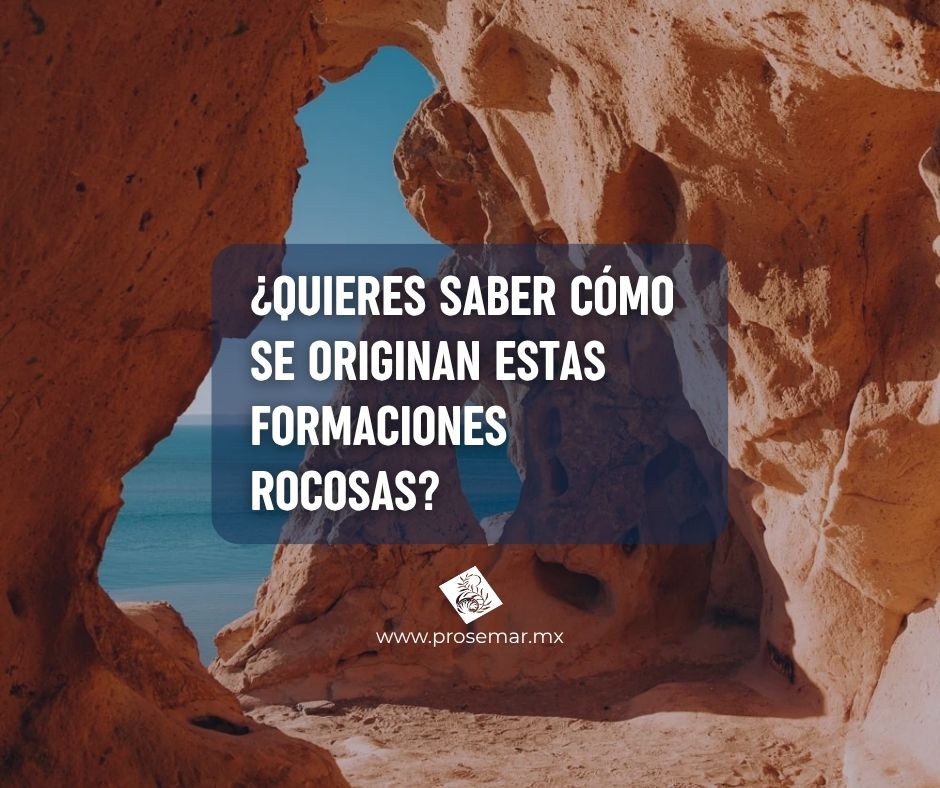 Curso en línea Geología en Nuestro Entorno 2 Curso en línea Geología en Nuestro Entorno - Imagen 2